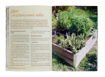 Ogród w skrzynkach. Uprawa roślin przyprawowych i leczniczych - Laurent Bourgeois : Poradnik