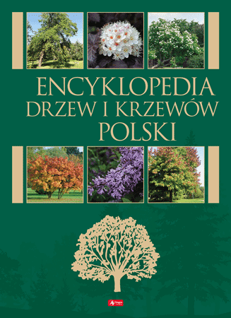 Encyklopedia drzew i krzewów Polski - Beata Węgrzynek, Monika Jędrzejczyk-Korycińska, Teresa Nowak 
