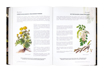 Wielki zielnik klasztorny - Herman-Josef Weidinger : Ziołolecznictwo : Atlas roślin leczniczych
