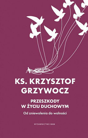 Przeszkody w życiu duchowym - ks. Krzysztof Grzywocz